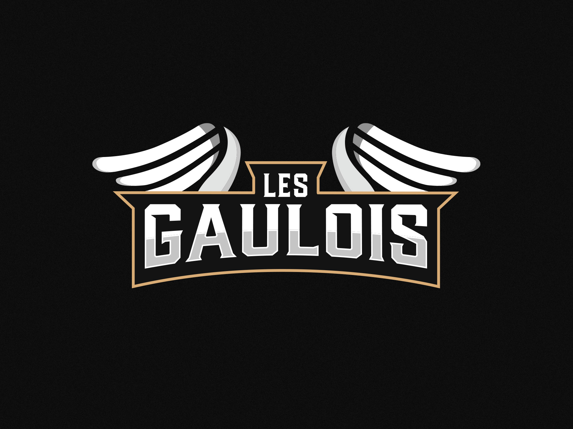 Projet - Les Gaulois - Esport logo - Identité visuelle, Logo