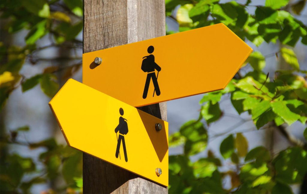 L'iconographie dans une charte graphique